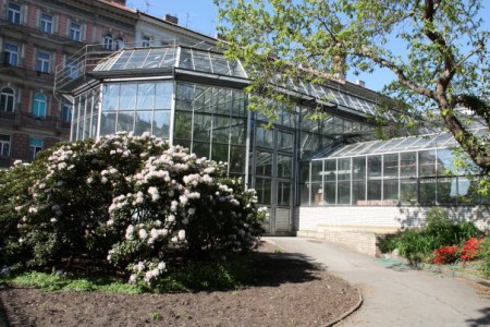 botanicka-zahrada-uk-praha-venkovni-a-sklenikova-expozice